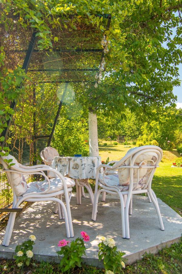 Kuca Za Odmor Dm Villa Bajina Basta Exterior photo